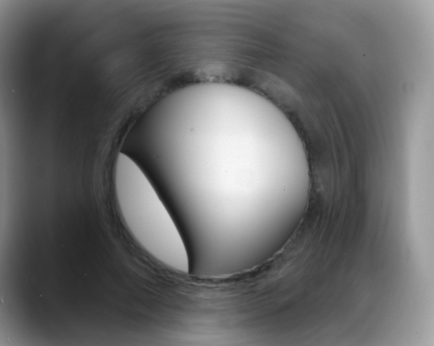 X0000088900690200706080827