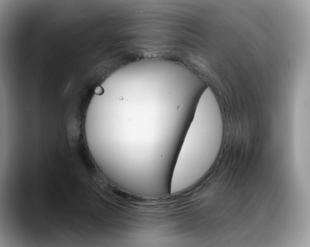 X0000088900691200706080827