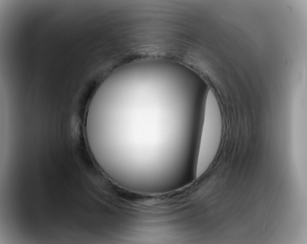 X0000088900692200706080827