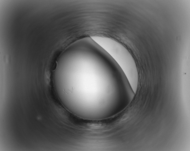 X0000088900693200706080827