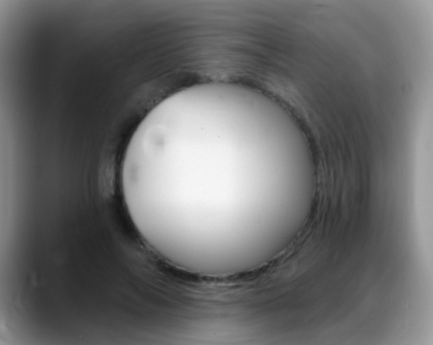 X0000088900694200706080827