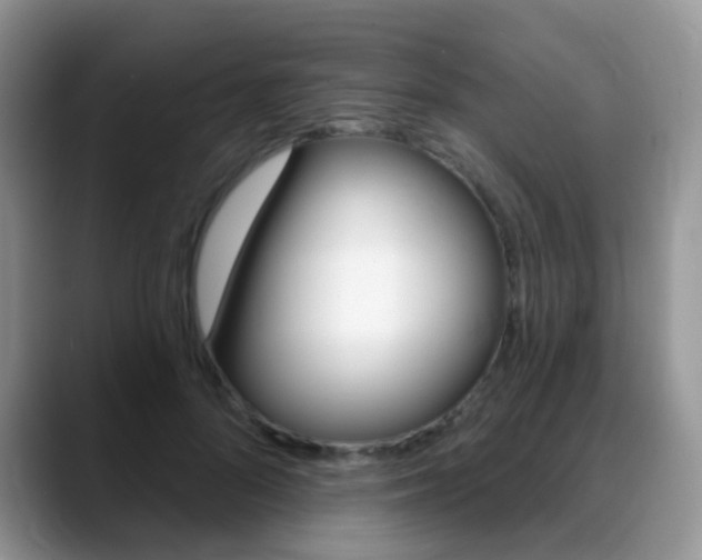 X0000088900696200706080827