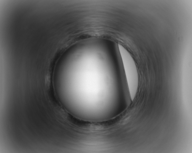 X0000088900697200706080827