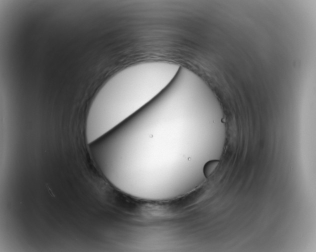 X0000088900699200706080827