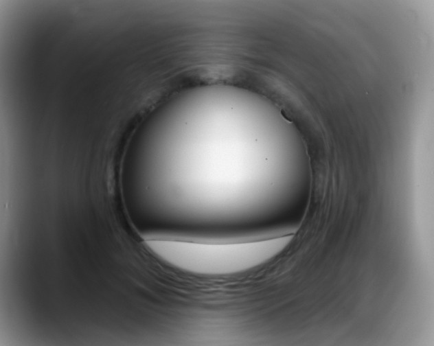 X0000088900700200706080827