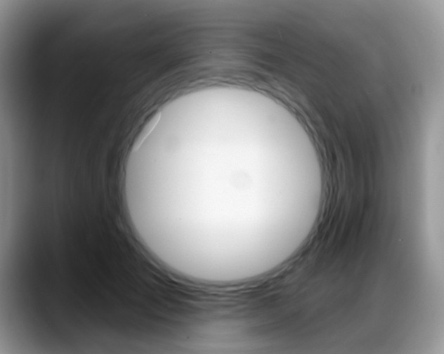 X0000088900701200706080827