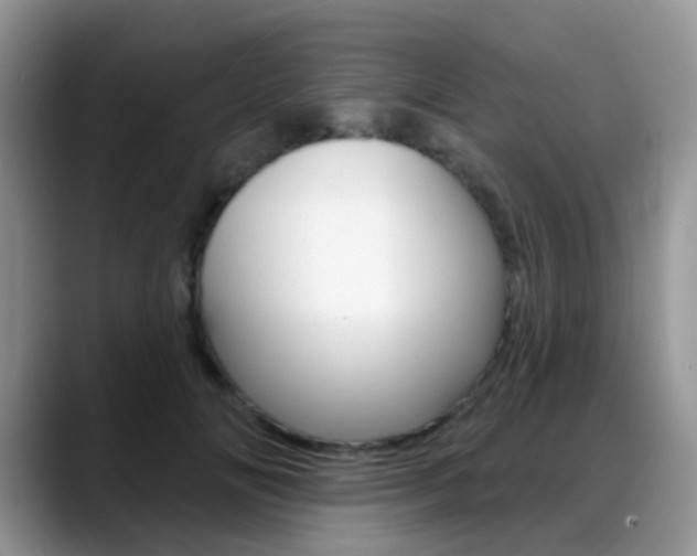 X0000088900702200706080827