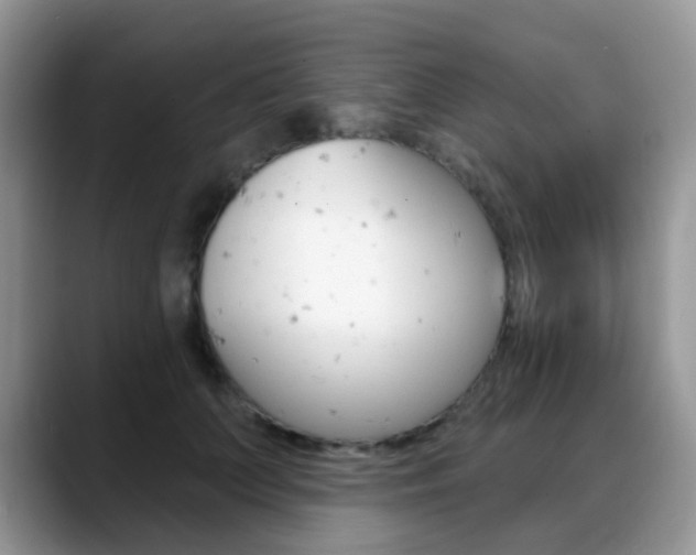 X0000088900703200706080827