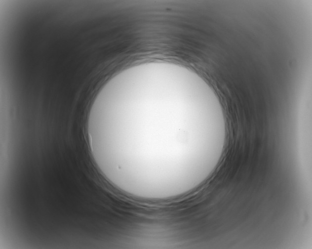 X0000088900705200706080827