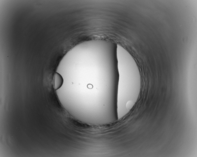 X0000088900707200706080827