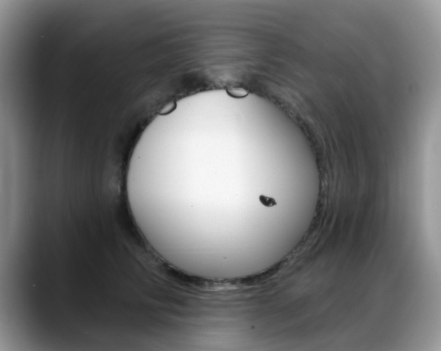 X0000088900710200706080826