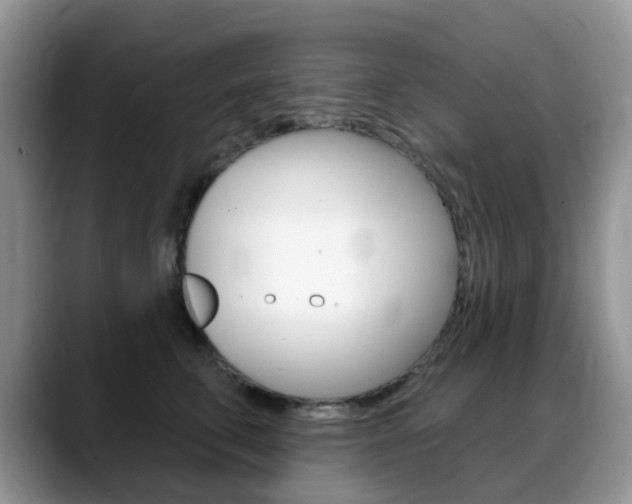 X0000088900711200706080826