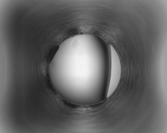 X0000088900712200706080826