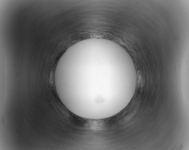 X0000088900713200706080826