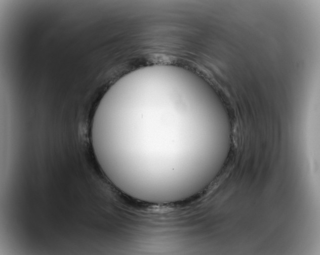 X0000088900714200706080826