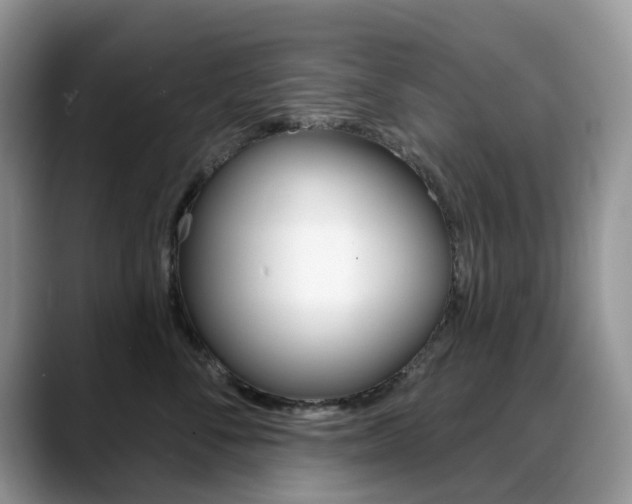 X0000088900716200706080826