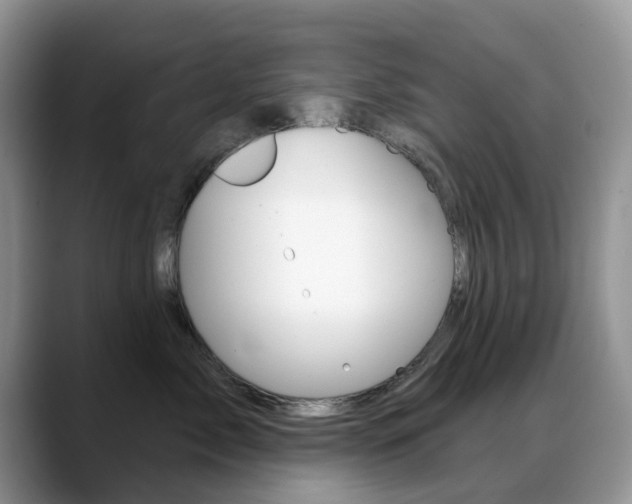 X0000088900717200706080826