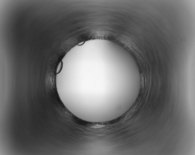 X0000088900718200706080826