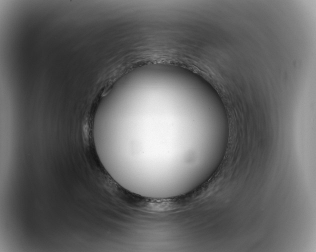 X0000088900720200706080826