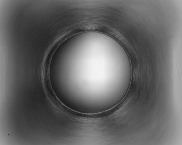 X0000088900722200706080826