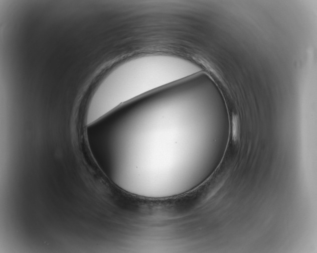 X0000088900723200706080826