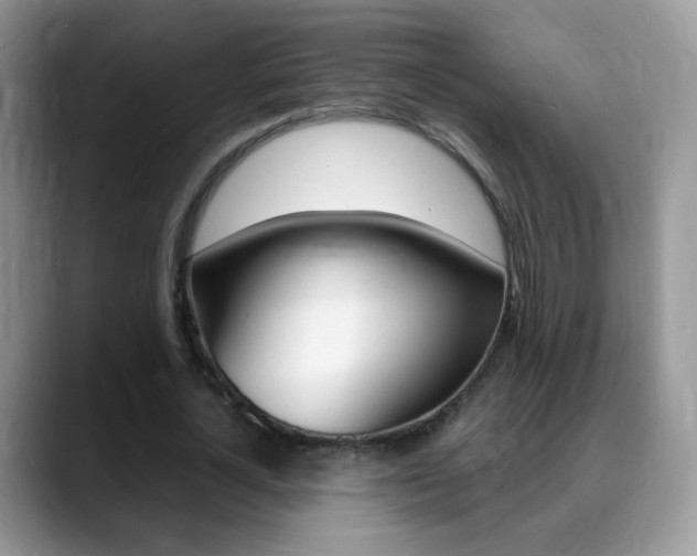 X0000088900724200706080826