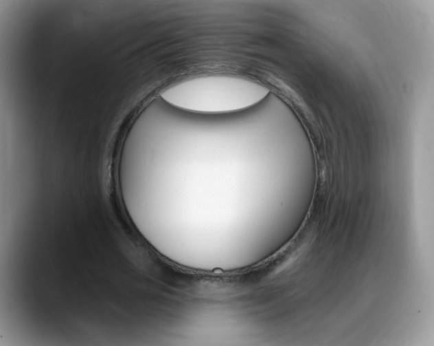 X0000088900725200706080826