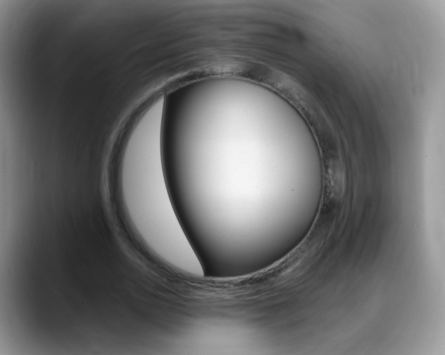 X0000088900726200706080826