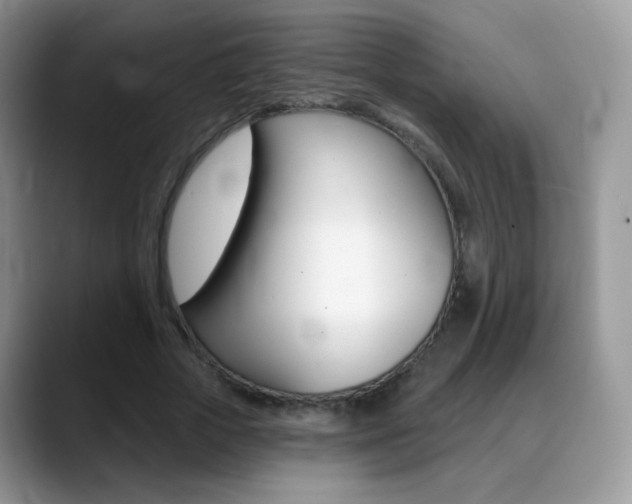 X0000088900729200706080826