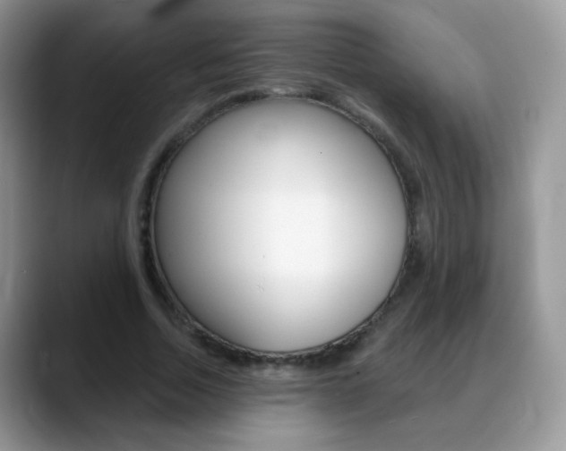 X0000088900730200706080826