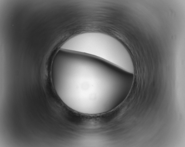 X0000088900731200706080826