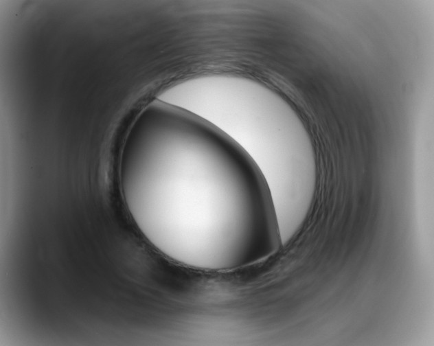 X0000088900732200706080826