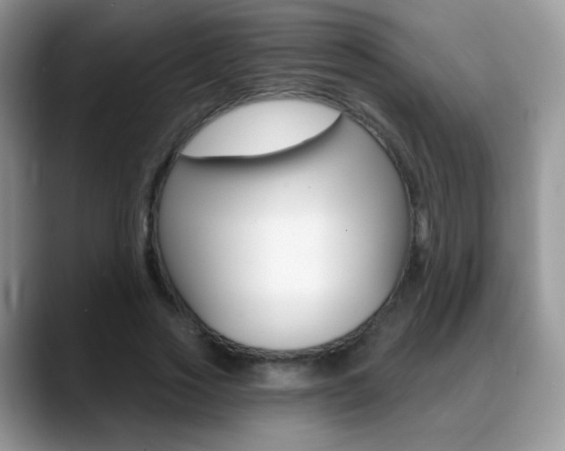 X0000088900733200706080826