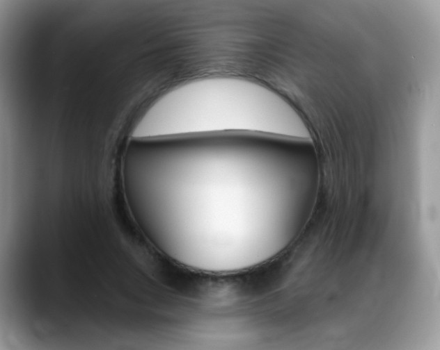 X0000088900735200706080826