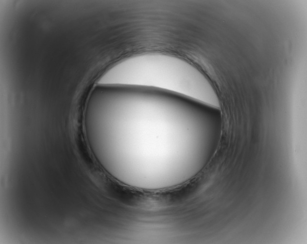 X0000088900736200706080826