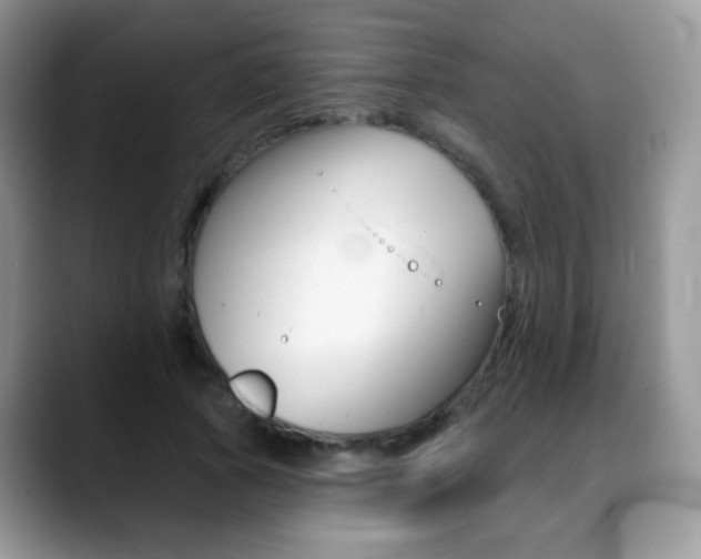 X0000088900737200706080826