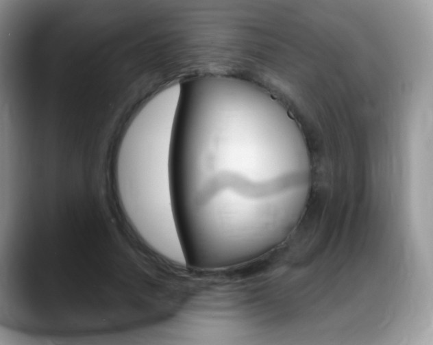 X0000088900738200706080826