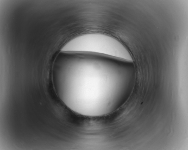 X0000088900739200706080826