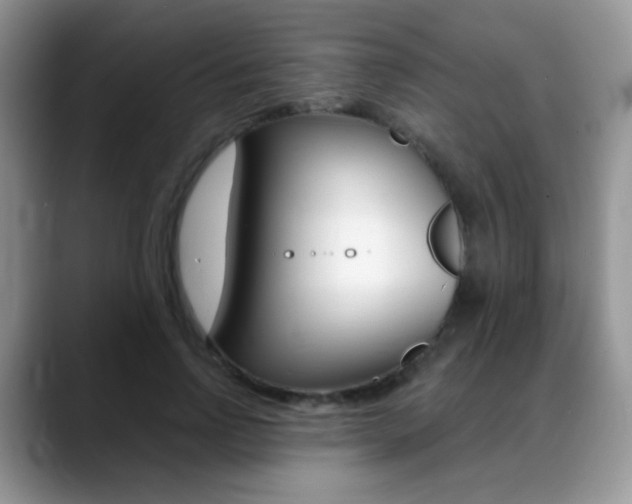 X0000088900742200706080826