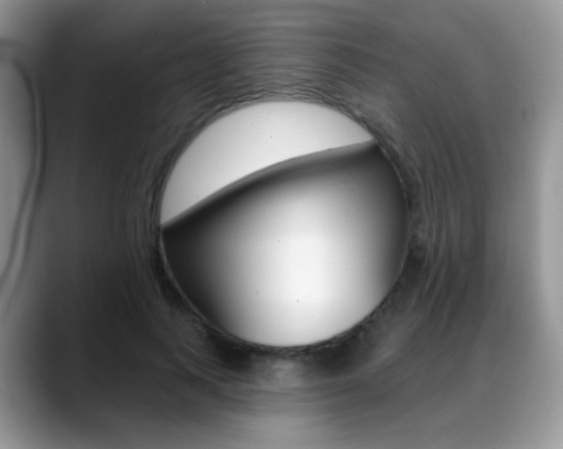X0000088900743200706080826
