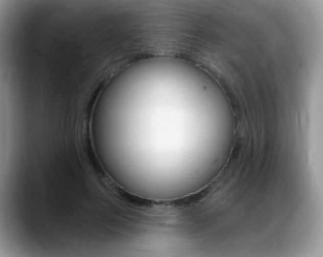 X0000088900744200706080826