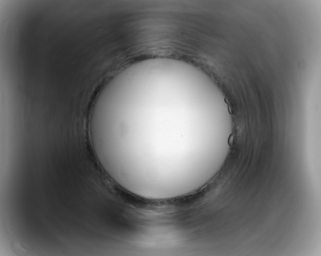 X0000088900745200706080826