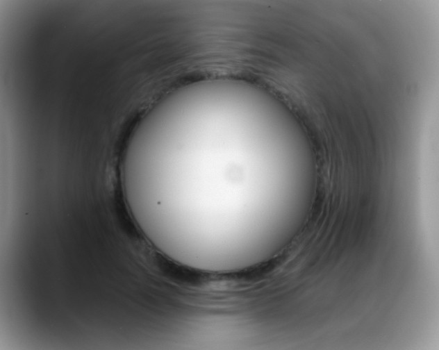 X0000088900746200706080826