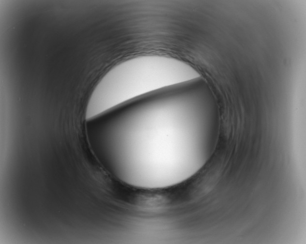 X0000088900747200706080826