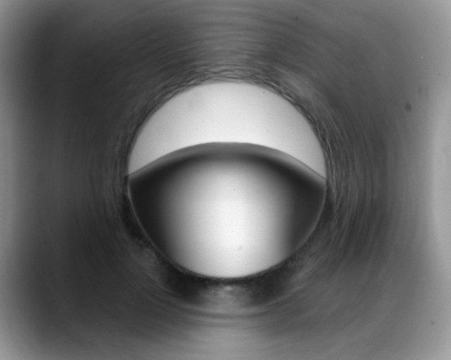 X0000088900748200706080826