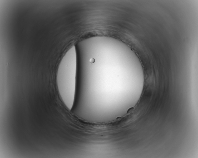 X0000088900749200706080826
