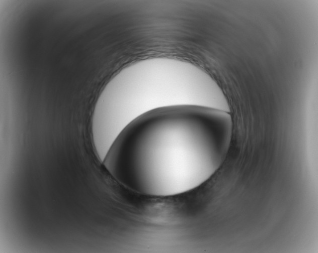 X0000088900750200706080826