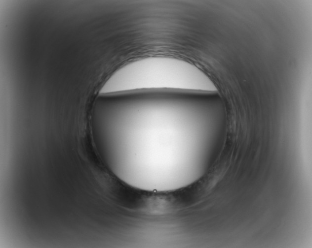 X0000088900751200706080826