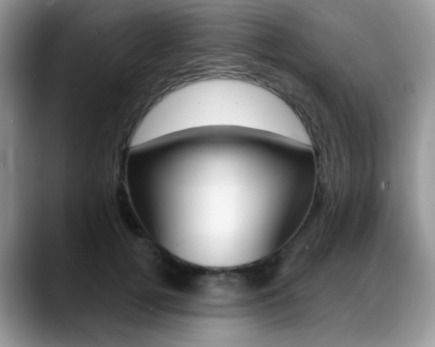 X0000088900752200706080826
