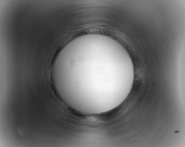 X0000088900753200706080826